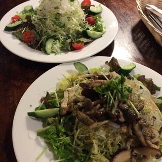 ハルジョオン・ヒメジョオン_0