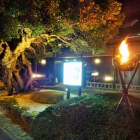 ステーキ池田 - 