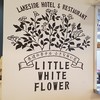 水辺のホテル 小さな白い花