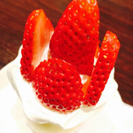 ノック オン ウッド - 