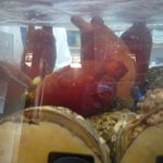 葵寿司 - 水槽のなかのアカホヤとホッキ