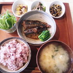 ハルニレ食堂 - お魚ごはん