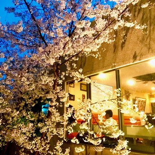 Italian Bar Taka’S Kitchen - 店内の窓全てからはライトアップされた中庭の桜でお花見が楽しめます！