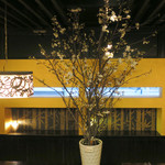 鮨でですけ - テーブルの吉野桜