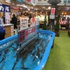 函館朝市 駅二市場 活いか釣り広場