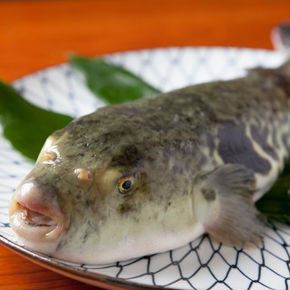 淡路島 さと味 南あわじ市その他 寿司 ネット予約可 食べログ