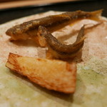 虎白 - 稚鮎と筍に八角塩
