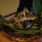 美山荘 - あまご