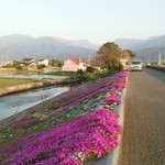 アルバトロス - 