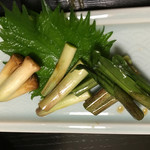 天一 - 行者ニンニク