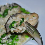 ラ・ベットラ・ダ・オチアイ - 牡蠣