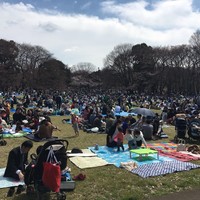 ル・ジャルダン - 