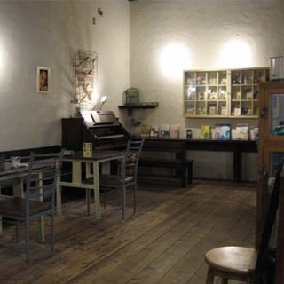 ハルジョオン・ヒメジョオン_2