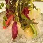 カーザ ヴィニタリア - 