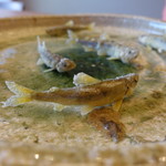 柚木元 - ディスプレーが見事ですね