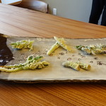 柚木元 - 蕗の薹、行者にんにく、アマドコロ、タラの芽、コシアブラの天ぷら