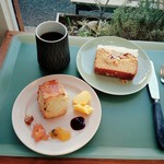 サンデーベイクショップ - スコーンの朝食セット￥700、シンプルスポンジ＆ホワイトケーキ￥450