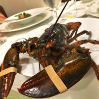 シェ・ソーマ 都立大学 - これから美味しいお料理になるオマール海老。動いてました！
