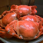 つるべ寿司 - どてぼり蟹