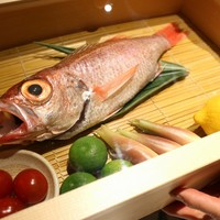 のどぐろ専門 銀座 中俣 - 