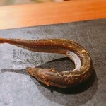 すし 喜邑 - 2017.3.  親魚（ふるせ）