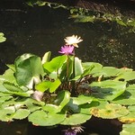 Thompson Restaurant and Wine Bar - 確かにシャレオツ