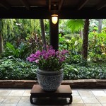 Thompson Restaurant and Wine Bar - 邸宅見学