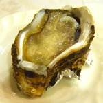 レストランカノウ - 冷前菜の別皿で出た岩牡蠣
