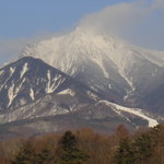 レストラン ネスト - 2011年1月