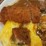 カレーうどん千吉 トツカーナ店 - 
