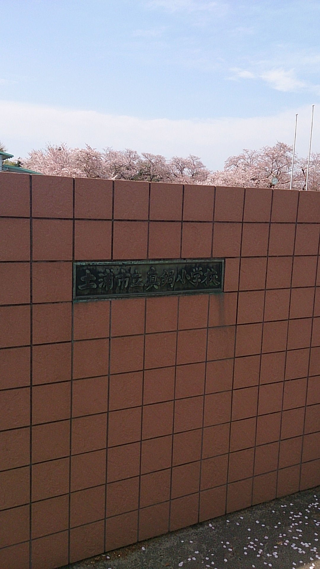前島製菓 name=
