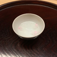 松川 - 桜の花びら