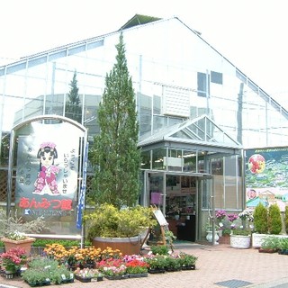 美馬市脇町でおすすめのグルメ情報をご紹介 食べログ 美馬市脇町でおすすめのグルメ情報をご紹介 食べログ