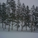 ヒルトンニセコビレッジ - 