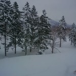 ヒルトンニセコビレッジ - 