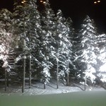 ヒルトンニセコビレッジ - 