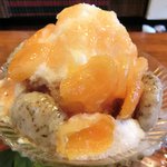 いちょうの木 - あんず+紅茶玉 1000円