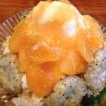 いちょうの木 - あんず+紅茶玉 1000円