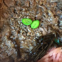 神田明神下 みやび 本店 - 