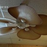 Coral Kingdom Shop & Restaurant - シーリングファン