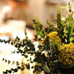 botanical  table Offf - 