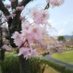 レストラン 牛石 - 陶芸の森にて