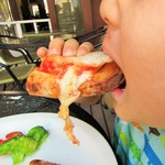 Ｌucci - ガブリ！