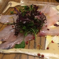 ブラチェリア バーヴァ - 