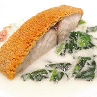 Takumi - ランチコース 7722円 のサワラのクルミチーズ焼き、ホウレン草と生ハムのソース