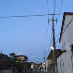 青やぎ - ご近所風景です。