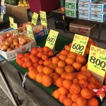山鳥青果 - 色々なみかんが置いてます。