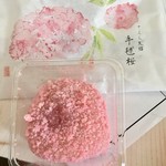 平安堂 梅坪 - 