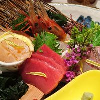 個室和食 東山 新宿本店 - お造り