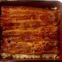 鰻割烹 伊豆栄 梅川亭 - うな重 梅：4,860円